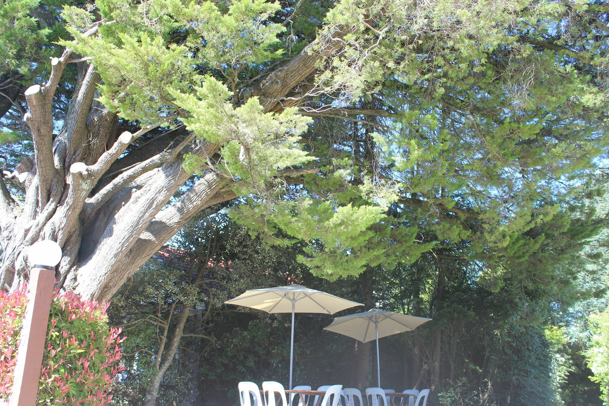 Hotel Avonleigh Katoomba Extérieur photo